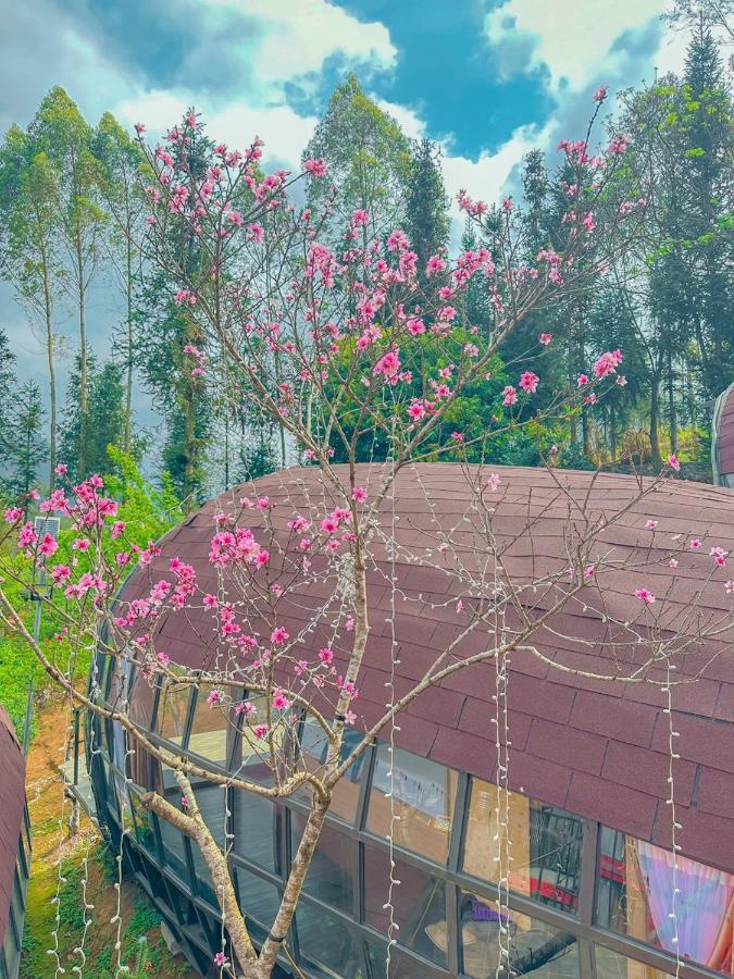 Plum Homestay دونغ فان المظهر الخارجي الصورة