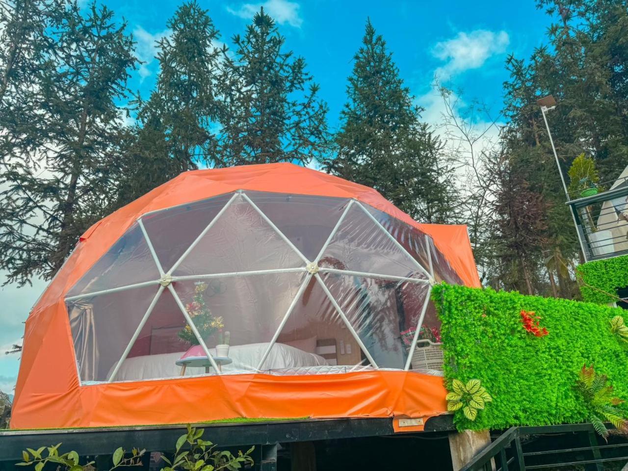 Plum Homestay دونغ فان المظهر الخارجي الصورة