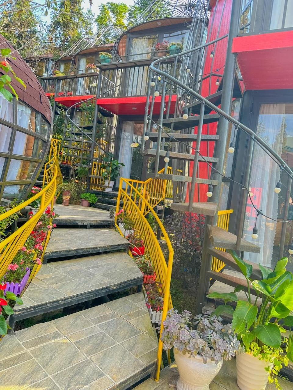 Plum Homestay دونغ فان المظهر الخارجي الصورة